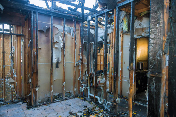 Professional Fire Damage Removal technician working in Sammamish, WA