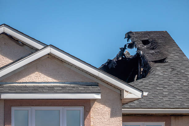 Top rated local Fire Damage Removal specialists in Sammamish, WA